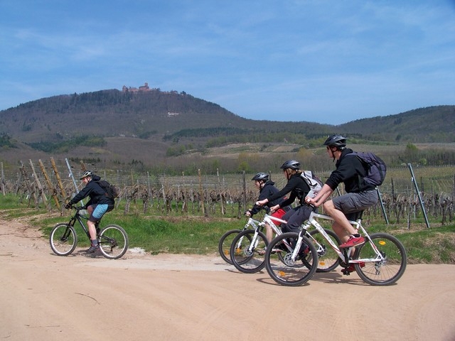  Ciclismo de cerro en Alsacia 